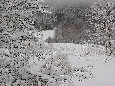 Maison de vacances �/en/au Bernartice u Trutnova (Kralovehradecky Kraj)ou appartement ou maison de vacances