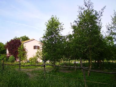 Chambre avec petit djeuner /en/au Perugia (Perugia)ou appartement ou maison de vacances