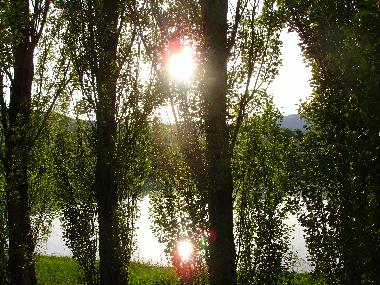 Chambre avec petit djeuner /en/au Perugia (Perugia)ou appartement ou maison de vacances