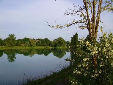 Chambre avec petit djeuner /en/au Perugia (Perugia)ou appartement ou maison de vacances