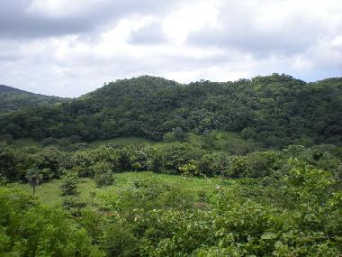 Appartement de vacances �/en/au Cabo Velas (Guanacaste)ou appartement ou maison de vacances