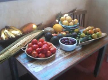 Maison de vacances �/en/au Baleia (Ceara)ou appartement ou maison de vacances