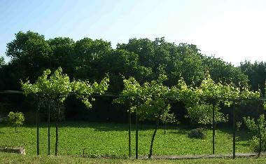 Maison de vacances �/en/au san felice circeo (Latina)ou appartement ou maison de vacances