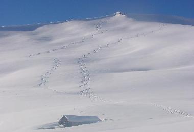 Chalet /en/au Tamsweg (Lungau)ou appartement ou maison de vacances