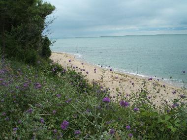 Appartement de vacances �/en/au Byala (Varna)ou appartement ou maison de vacances