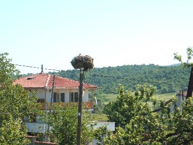 Appartement de vacances �/en/au Marinka (Burgas)ou appartement ou maison de vacances