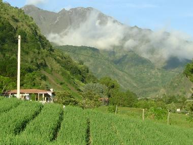 Chalet �/en/au Volcan (Chiriqui)ou appartement ou maison de vacances