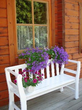 Maison de vacances �/en/au Krummsee (Holsteinische Schweiz)ou appartement ou maison de vacances
