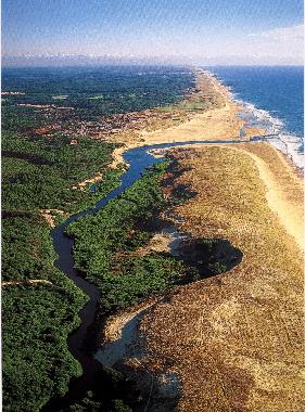 Appartement de vacances �/en/au Moliets Plage (Landes)ou appartement ou maison de vacances