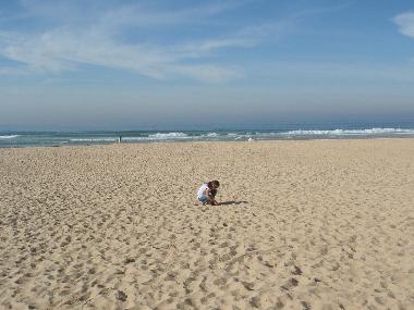Appartement de vacances �/en/au Moliets Plage (Landes)ou appartement ou maison de vacances