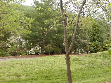 Maison de vacances �/en/au Branson (Missouri)ou appartement ou maison de vacances