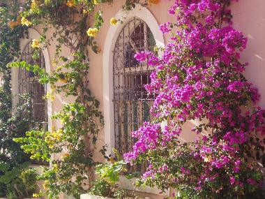 fa�ade rue