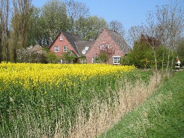 Maison de vacances /en/au Nordstrand (Nordfriesische Inseln)ou appartement ou maison de vacances