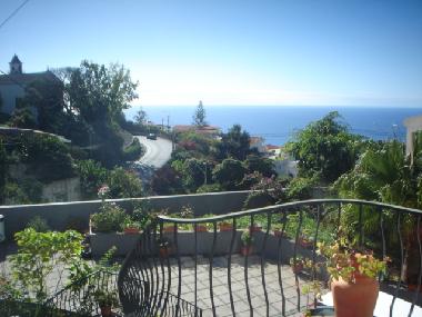 Chalet /en/au Boa Nova/Funchal (Madeira)ou appartement ou maison de vacances