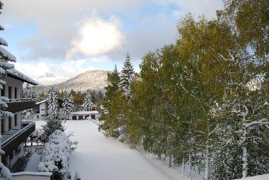 Appartement de vacances /en/au Seefeld (Innsbruck)ou appartement ou maison de vacances