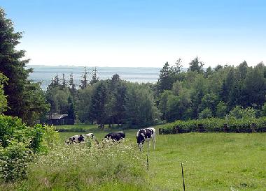 Maison de vacances �/en/au Spottrup  (Nordjylland)ou appartement ou maison de vacances