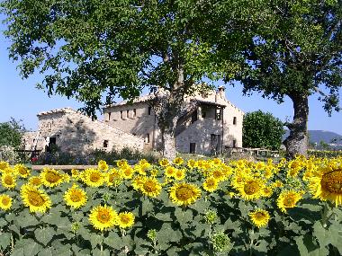 Chambre avec petit d�jeuner �/en/au Treia (Macerata)ou appartement ou maison de vacances