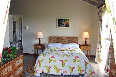 Appartement de vacances �/en/au Ocho Rios (Saint Ann)ou appartement ou maison de vacances