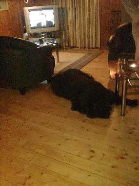 Maison de vacances �/en/au Rindby Strand/Fan� (Sonderjylland)ou appartement ou maison de vacances