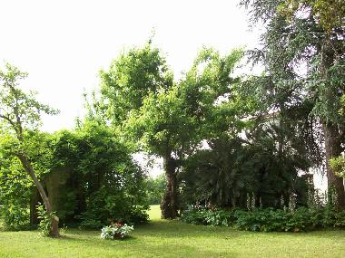 Appartement de vacances /en/au Pisa  (Pisa)ou appartement ou maison de vacances