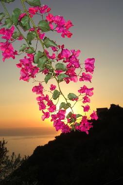 Appartement de vacances �/en/au Pisciotta (Salerno)ou appartement ou maison de vacances