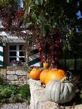 Appartement de vacances /en/au Blaufelden-Herrentierbach (Hohenlohe)ou appartement ou maison de vacances