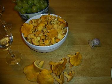 Appartement de vacances /en/au Hochkrimml (Pinzgau-Pongau)ou appartement ou maison de vacances