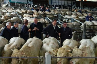 St-Christophe-en-Brionnais