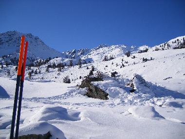 Appartement de vacances �/en/au Haute Nendaz (Nendaz)ou appartement ou maison de vacances