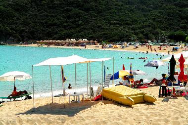 PLAZ 