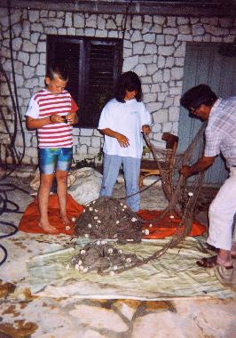 Appartement de vacances /en/au Sevid  (Splitsko-Dalmatinska)ou appartement ou maison de vacances