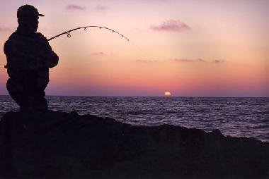 Appartement de vacances /en/au Sevid  (Splitsko-Dalmatinska)ou appartement ou maison de vacances