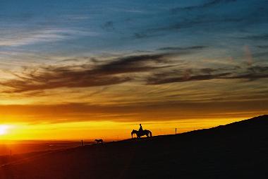 Maison de vacances �/en/au Livingstone (Waitaki)ou appartement ou maison de vacances