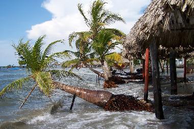 Appartement de vacances �/en/au Tol� (Sucre)ou appartement ou maison de vacances