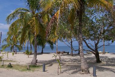 Appartement de vacances �/en/au Tol� (Sucre)ou appartement ou maison de vacances