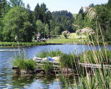Appartement de vacances /en/au Rieden am Forggensee (Bayerische Schwaben)ou appartement ou maison de vacances