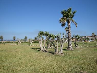 Appartement de vacances �/en/au Noto (Siracusa)ou appartement ou maison de vacances