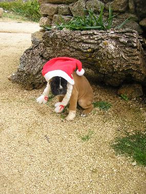 Maison de vacances /en/au luelmo (Zamora)ou appartement ou maison de vacances