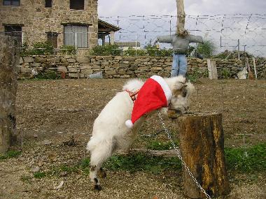 Maison de vacances /en/au luelmo (Zamora)ou appartement ou maison de vacances