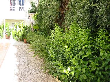 Appartement de vacances /en/au MLAGA (Mlaga)ou appartement ou maison de vacances