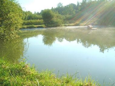 Maison de vacances /en/au Bertric Buree (Dordogne)ou appartement ou maison de vacances
