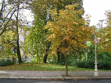 Appartement de vacances �/en/au Marienbad (Karlovarsky Kraj)ou appartement ou maison de vacances