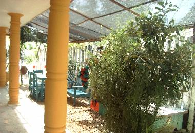 Appartement de vacances �/en/au Tol� (Sucre)ou appartement ou maison de vacances