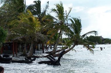 Appartement de vacances �/en/au Tol� (Sucre)ou appartement ou maison de vacances