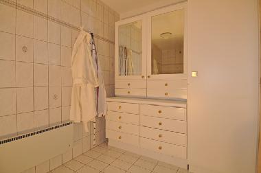 Maison de vacances �/en/au Fiesch (Goms)ou appartement ou maison de vacances