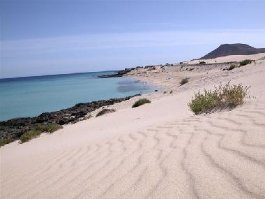 Appartement de vacances /en/au Corralejo (Fuerteventura)ou appartement ou maison de vacances