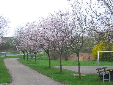 Appartement de vacances /en/au Gossersweiler-Stein bei Landau  (Pfalz)ou appartement ou maison de vacances