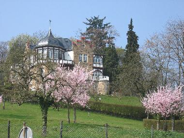 Appartement de vacances /en/au Gossersweiler-Stein bei Landau  (Pfalz)ou appartement ou maison de vacances