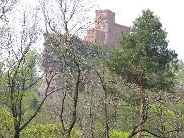 Appartement de vacances /en/au Gossersweiler-Stein bei Landau  (Pfalz)ou appartement ou maison de vacances