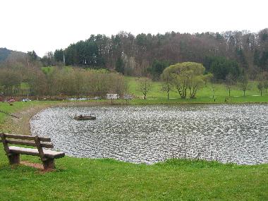 Appartement de vacances /en/au Gossersweiler-Stein bei Landau  (Pfalz)ou appartement ou maison de vacances